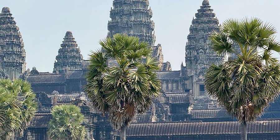 The magnificent temple of Angkor Wat, it sits behind native trees.