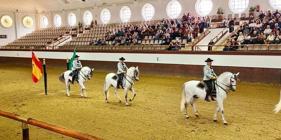A cultural horse dancing performance features three white horses.